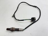 Sonde lambda