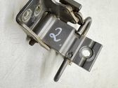 Rear door lower hinge