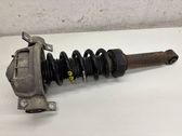 Rear shock absorber with coil spring