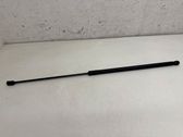 Front bonnet/hood damper/strut