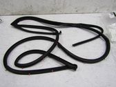 Front door rubber seal