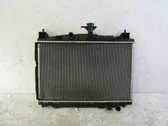 Dzesēšanas šķidruma radiators