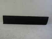 Listón embellecedor de la puerta delantera (moldura)