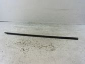 Front door glass trim molding