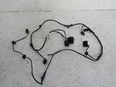Other wiring loom