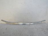 Front bumper cross member