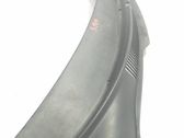 Moldura del limpia