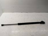 Tailgate/trunk strut/damper