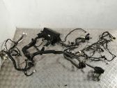 Other wiring loom