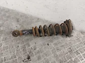 Rear shock absorber with coil spring