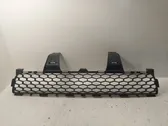 Front bumper lower grill