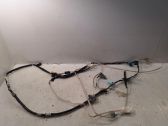 Other wiring loom