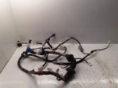 Front door wiring loom