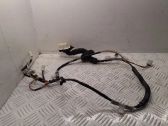 Rear door wiring loom