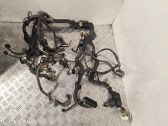 Engine installation wiring loom