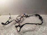 Front door wiring loom