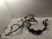 Front door wiring loom