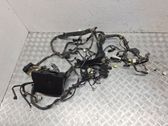 Other wiring loom