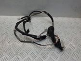Rear door wiring loom