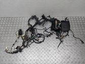 Other wiring loom