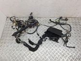 Other wiring loom