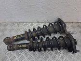 Rear shock absorber with coil spring