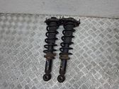 Rear shock absorber with coil spring