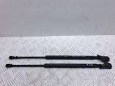 Tailgate/trunk strut/damper