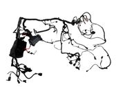 Other wiring loom