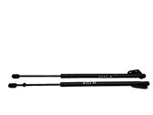 Tailgate/trunk strut/damper