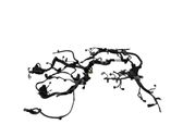 Engine installation wiring loom