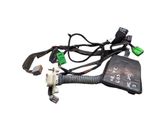 Front door wiring loom