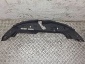 Radiator trim
