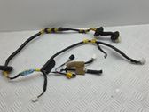 Rear door wiring loom