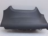 Airbag genoux