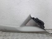 (A) pillar trim