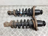 Rear shock absorber with coil spring