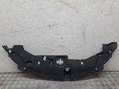 Radiator trim