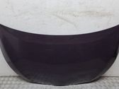 Motorhaube