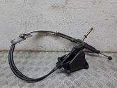 Selector caja de cambios