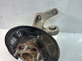 Rear wheel hub