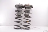 Rear coil spring