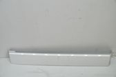Rivestimento portiera posteriore (modanatura)