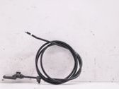Cable de apertura del capó/tapa del motor