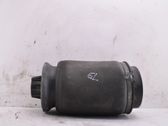 Rear air suspension bag/shock absorber