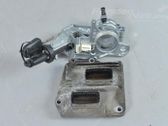 Engine control unit/module ECU