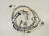 Parking sensor (PDC) wiring loom