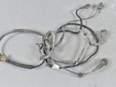 Parking sensor (PDC) wiring loom