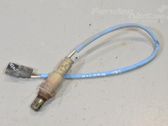Sonde lambda