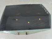 Rear door window glass